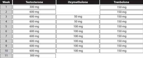 test and equipoise cycle