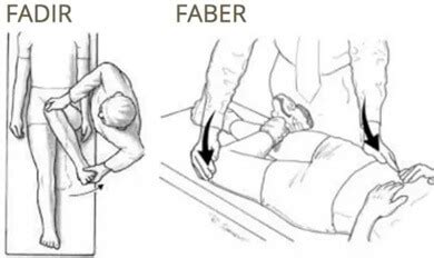 Must See Test De Fadir Y Faber Popular