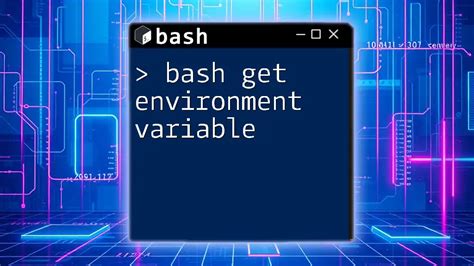 Test Environment Variable Bash