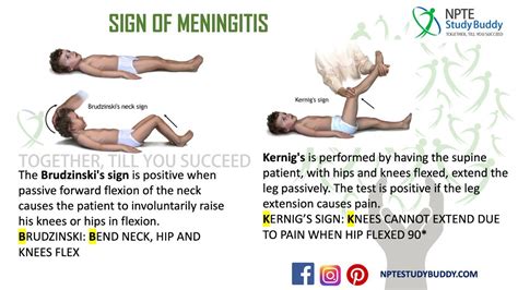 test for meningitis neck