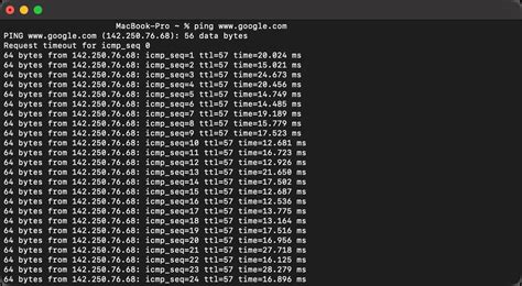 test ping in terminal