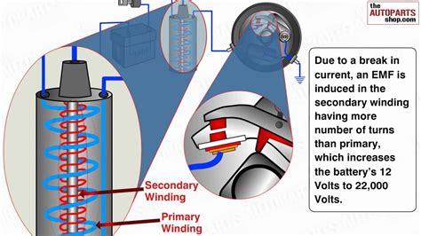 Test Points And Condenser