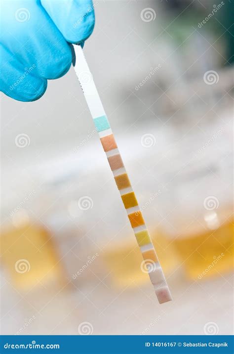 Test Strip In Definition