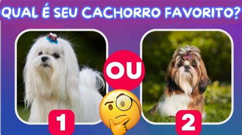 Viral Teste Qual Cachorro Eu Seria Latest