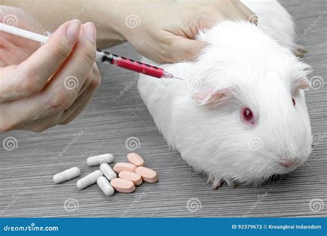 Testing Drugs On Animals