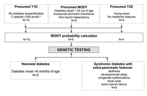 Testing For Mody Diabetes