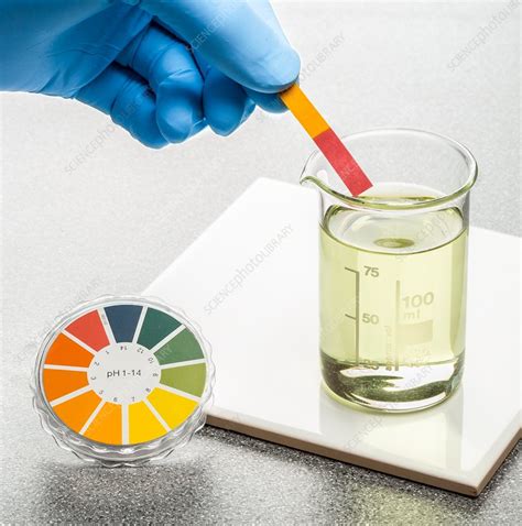 Testing Ph Of Soil With Universal Indicator