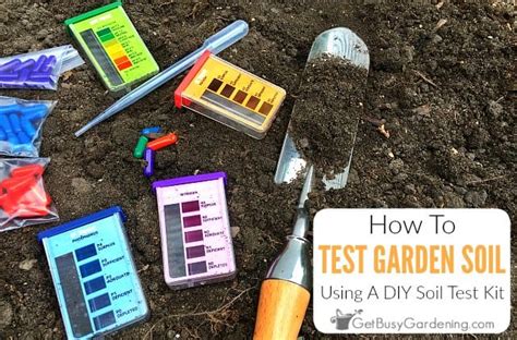 Testing Soil In Garden