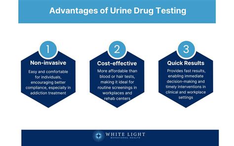 Testing Urine Definition