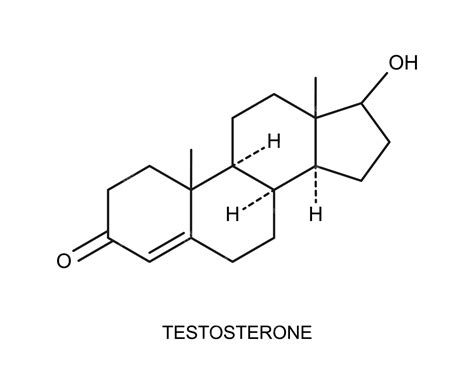 Bawang Lanang Mencegah Penurunan Testosteron