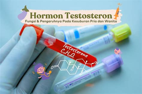All About Testosterone Therapy American HGH Clinics