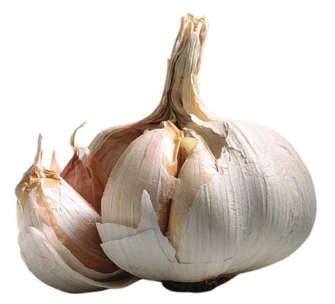 Testosteron Bawang Putih