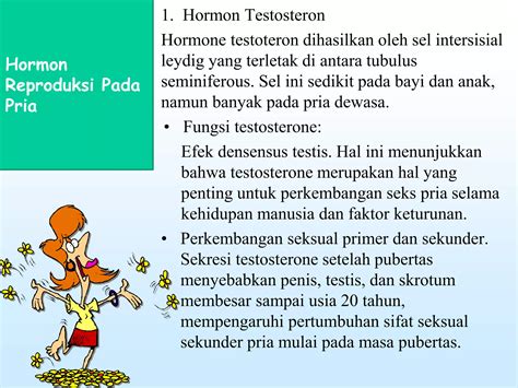 Hormon Testosteron
