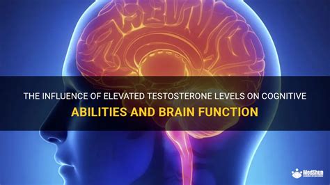 testosterone and cognitive function