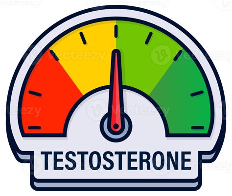 Testosterone Level Indicators