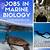 texas a&amp;m marine biology job board