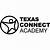 texas connections academy hisd