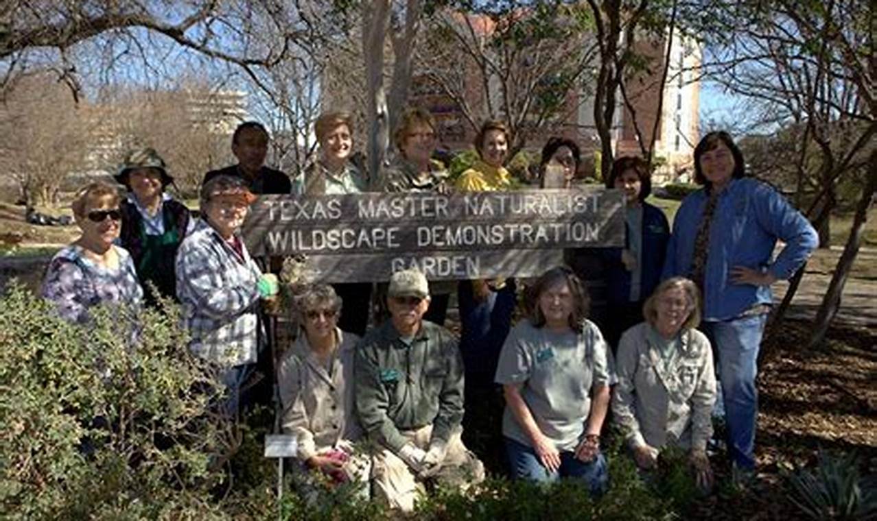 Texas Master Naturalist Volunteer Hours: Making a Difference in the Lone Star State