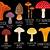 texas mushrooms a field guide pdf