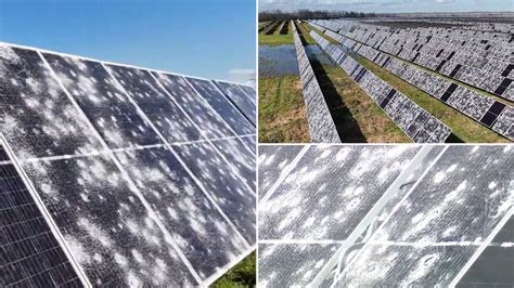 texas hail storm destroys solar farm