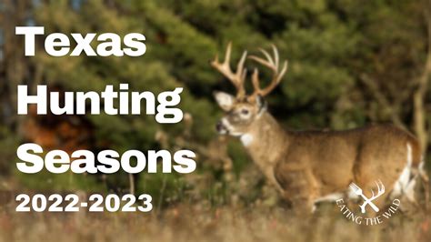 texas hunting seasons 2022 2023