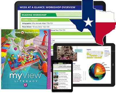 texas literacy online overview