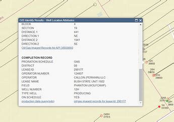 texas rrc wellbore query