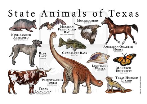 texas state animals list