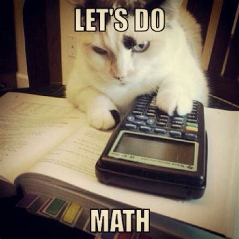 texas state math cats