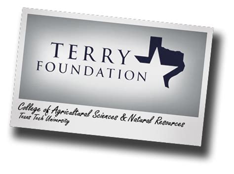 texas tech terry scholarship