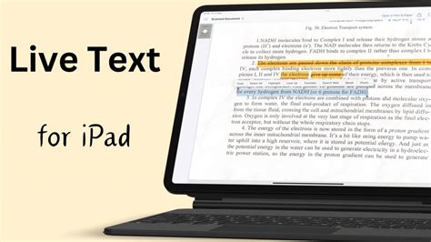 text ipad pro