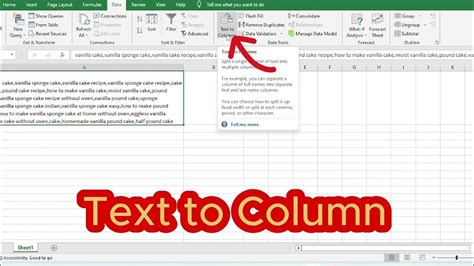 Excel Text to Column Made Easy