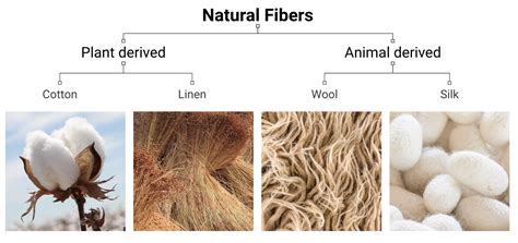 Textile Definition Of Fibre