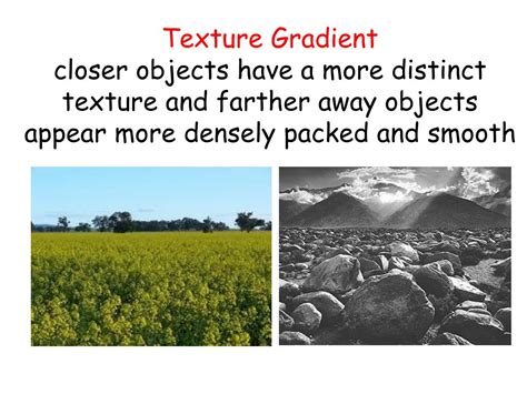texture gradient in psychology