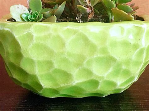 Textured Ceramic Planter