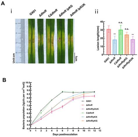 TFMR Meaning: Unveiling Its Secrets Today