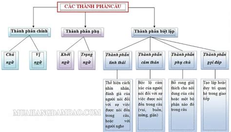 thành phần biệt lập phụ chú