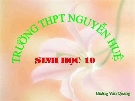 thư viện giảng bài điẹn tử lop 12 violet