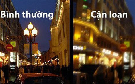 thị trấn và thị xã khác nhau thế nào