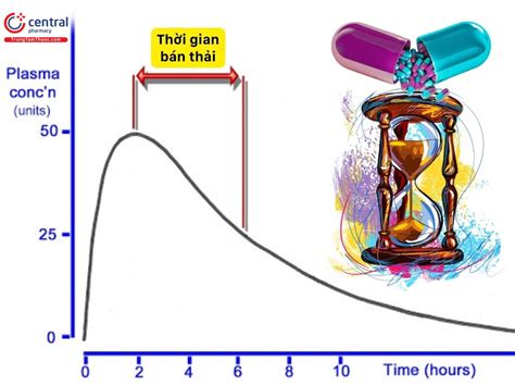 thời gian bán thải là gì