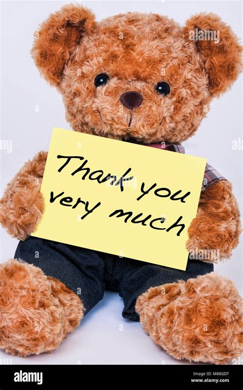 thank you teddy bear image