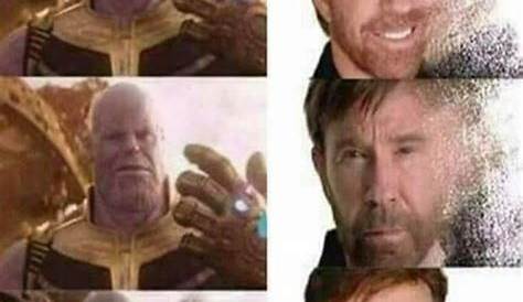 Thanos New Snap Meme 30 Absolutely Brutal s Which Only True