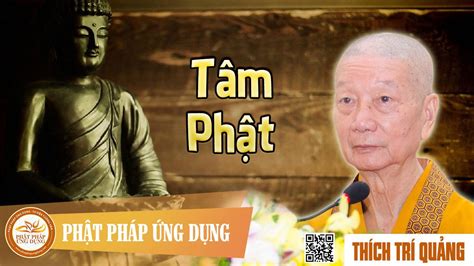 thay thich tri quang giang