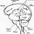 the anatomy and physiology of the brain