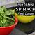 the best way to store spinach