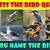 the bird quiz - quiz questions and answers