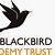 the blackbird academy trust