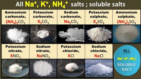 What Is The Chemical Makeup Of Salt Mugeek Vidalondon