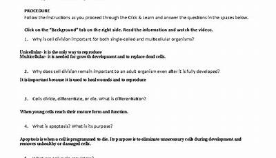 The Eukaryotic Cell Cycle And Cancer Overview Worksheet Answers