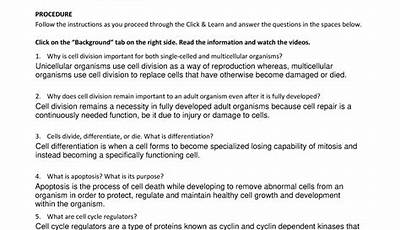 The Eukaryotic Cell Cycle And Cancer Worksheet Answers